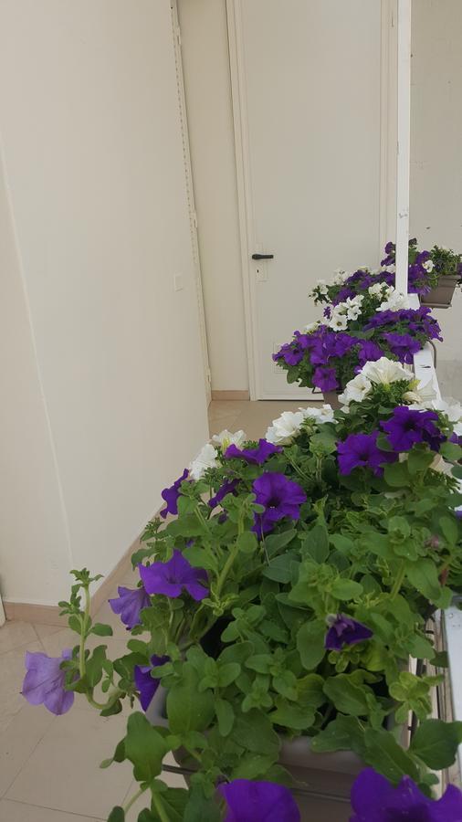 Matera Guest House ภายนอก รูปภาพ