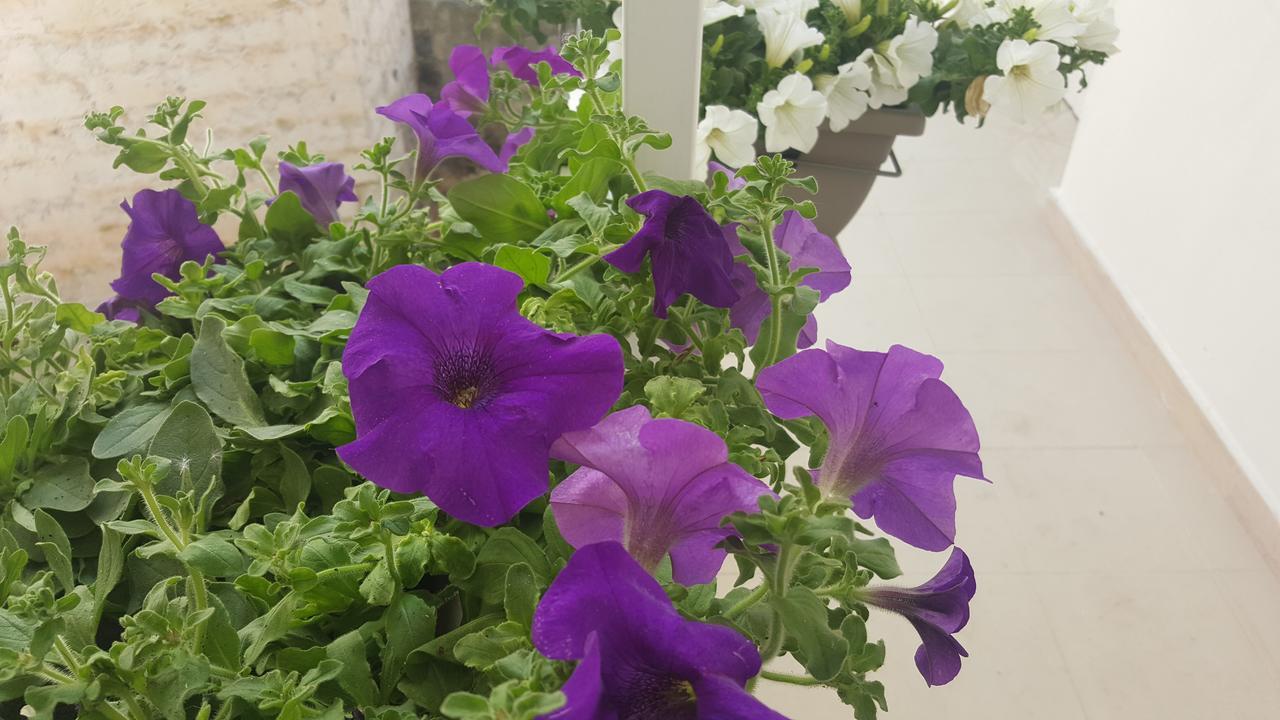 Matera Guest House ภายนอก รูปภาพ